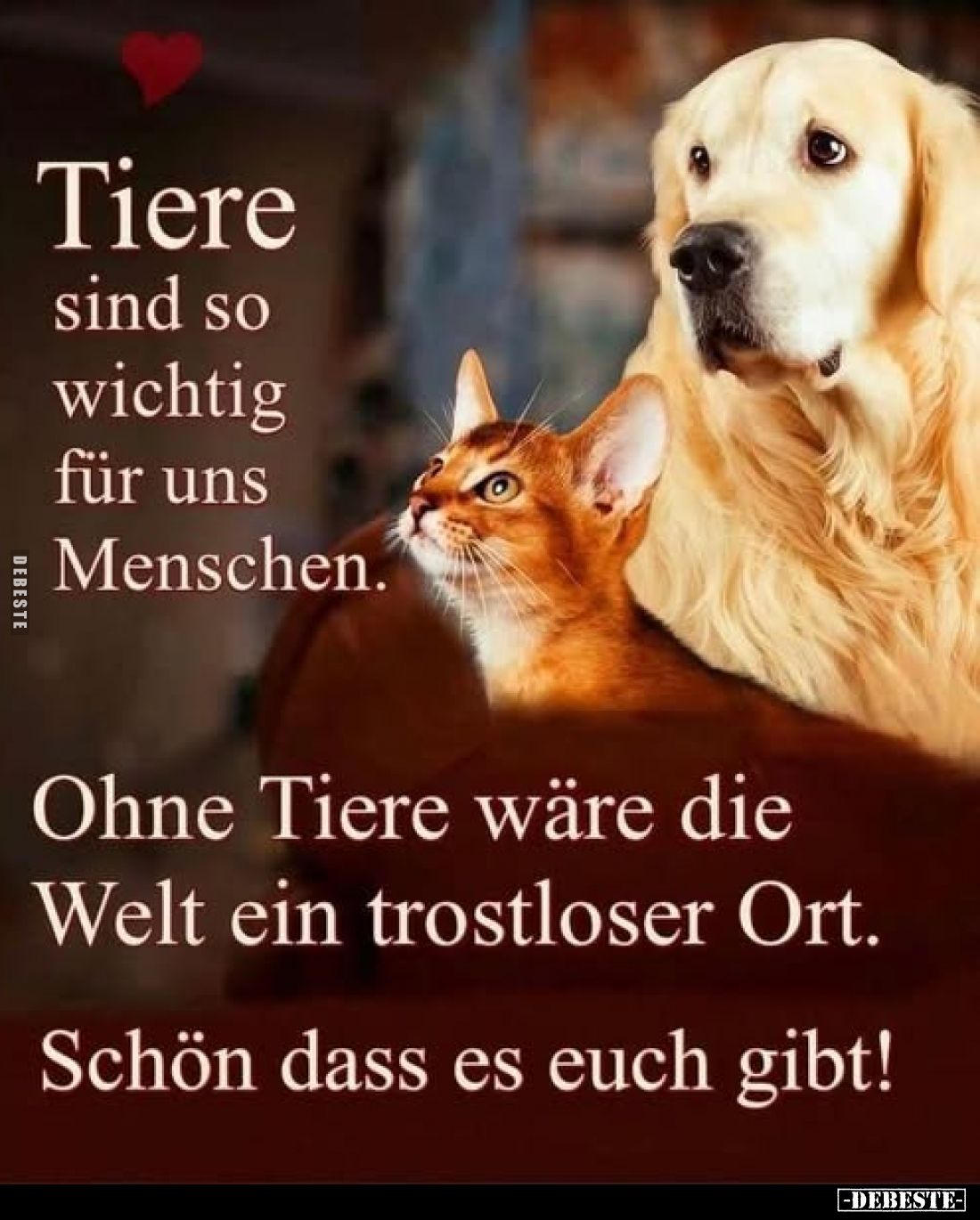 Tiere sind so wichtig für uns Menschen.
Ohne Tiere wäre die Welt ein trostloser Ort.
Schön dass es euch gibt!