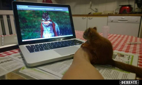  - Lustige Bilder | DEBESTE.de