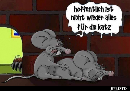 Hoffentlich ist nicht wieder alles für die Katz..