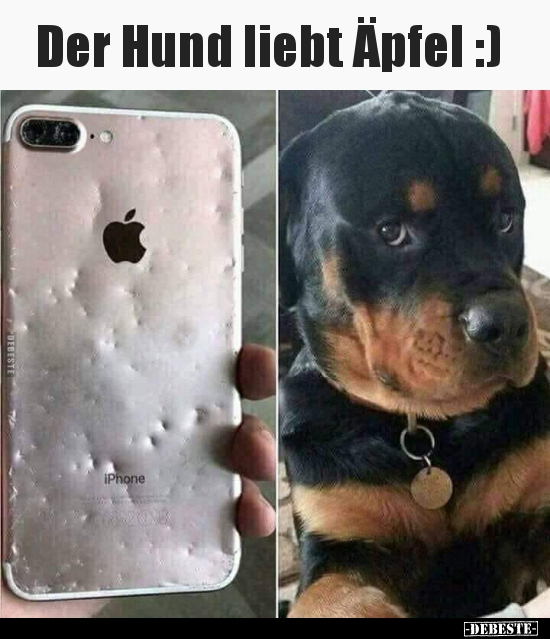 Der Hund liebt Äpfel :).. - Lustige Bilder | DEBESTE.de