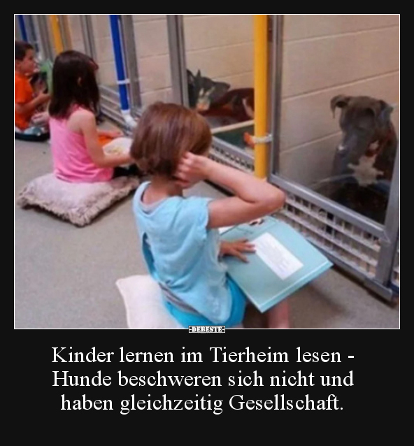 Kinder lernen im Tierheim lesen - Hunde beschweren sich.. - Lustige Bilder | DEBESTE.de