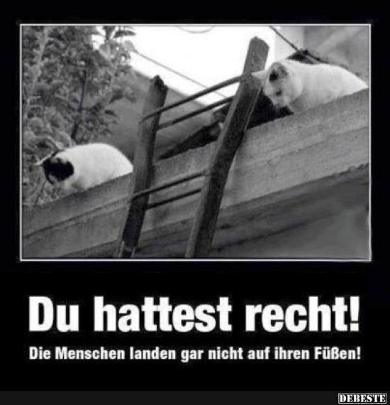Du hattest recht!