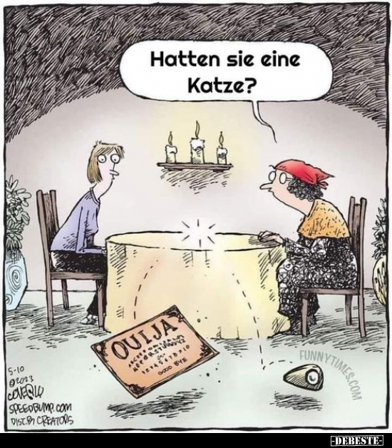 Hatten Sie eine Katze?.. - Lustige Bilder | DEBESTE.de