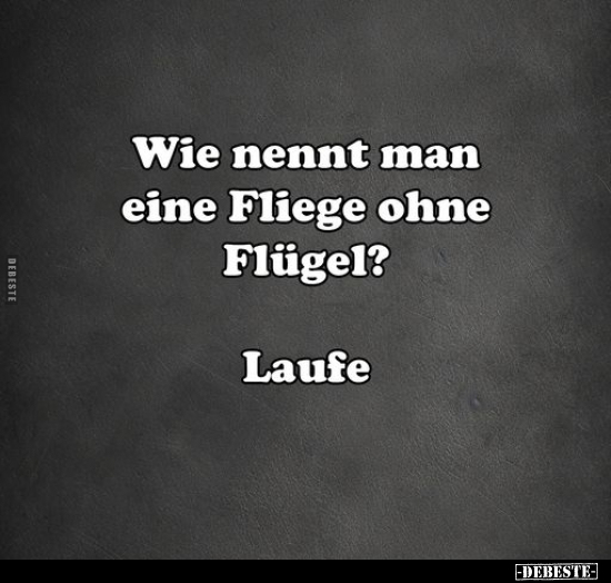 Wie nennt man eine Fliege ohne Flügel?.. - Lustige Bilder | DEBESTE.de