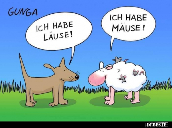 Ich habe Läuse!..