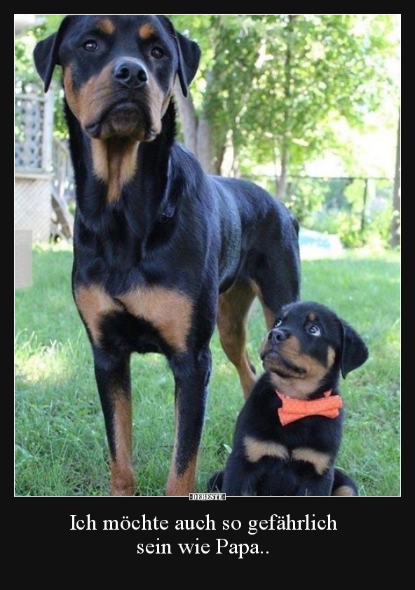 Ich möchte auch so gefährlich sein wie Papa..