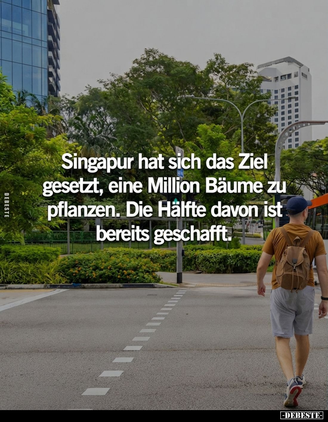 Singapur hat sich das Ziel gesetzt, eine Million Bäume zu pflanzen.

Die Hälfte davon ist bereits geschafft.