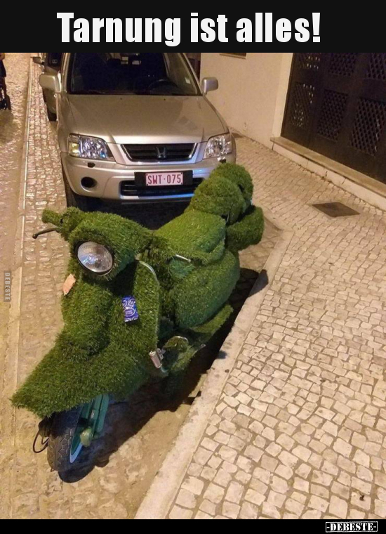 Tarnung ist alles!..