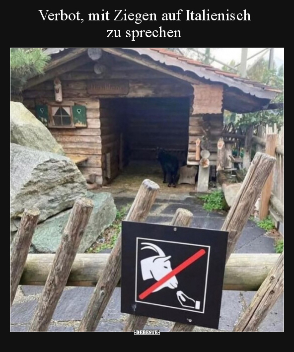 Verbot, mit Ziegen auf Italienisch zu sprechen.. - Lustige Bilder | DEBESTE.de