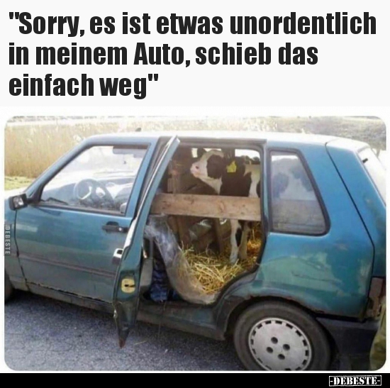 "Sorry, es ist etwas unordentlich in meinem Auto, schieb.." - Lustige Bilder | DEBESTE.de