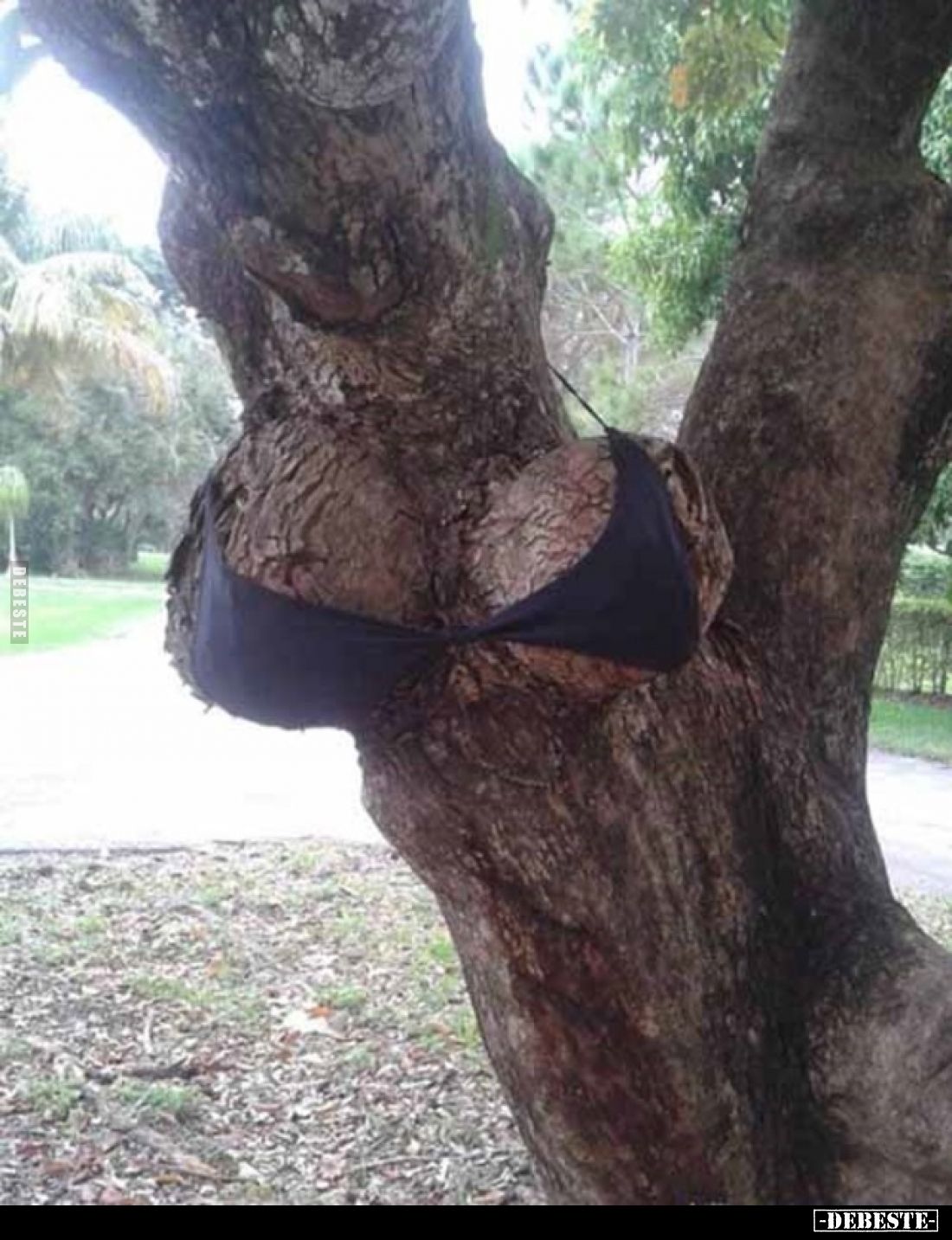  - Lustige Bilder | DEBESTE.de