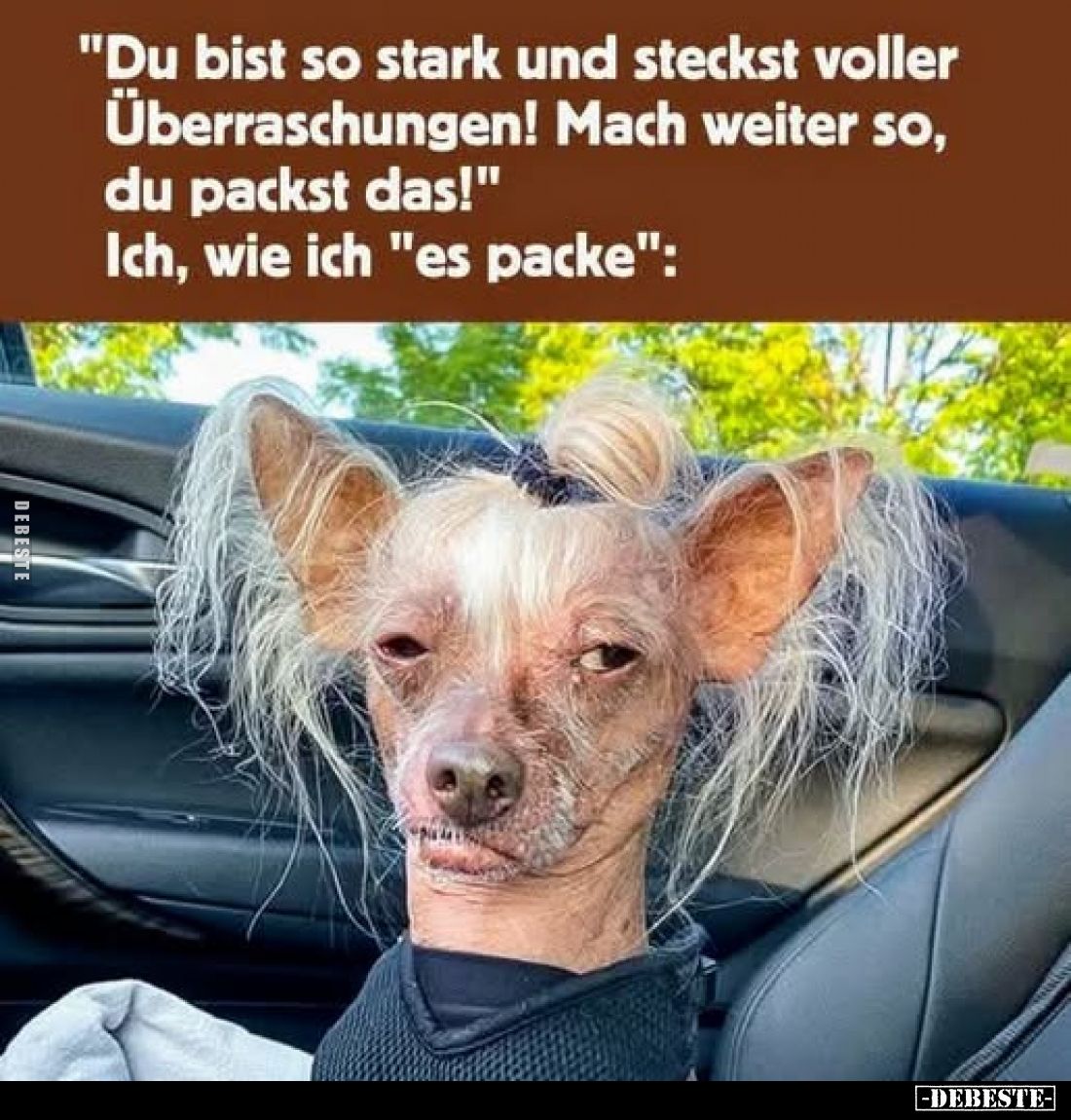 "Du bist so stark und steckst voller Überraschungen! Mach weiter so, du packst das!" -
Ich, wie ich "es packe...