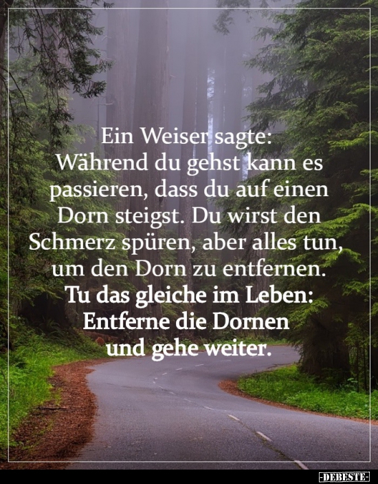 Ein Weiser sagte: Während du gehst kann es passieren.. - Lustige Bilder | DEBESTE.de