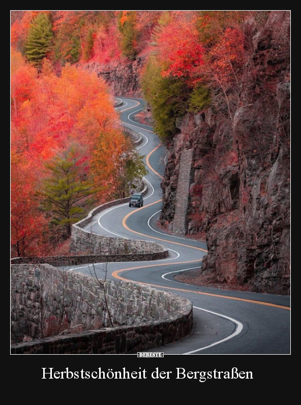 Herbstschönheit der Bergstraßen.. - Lustige Bilder | DEBESTE.de