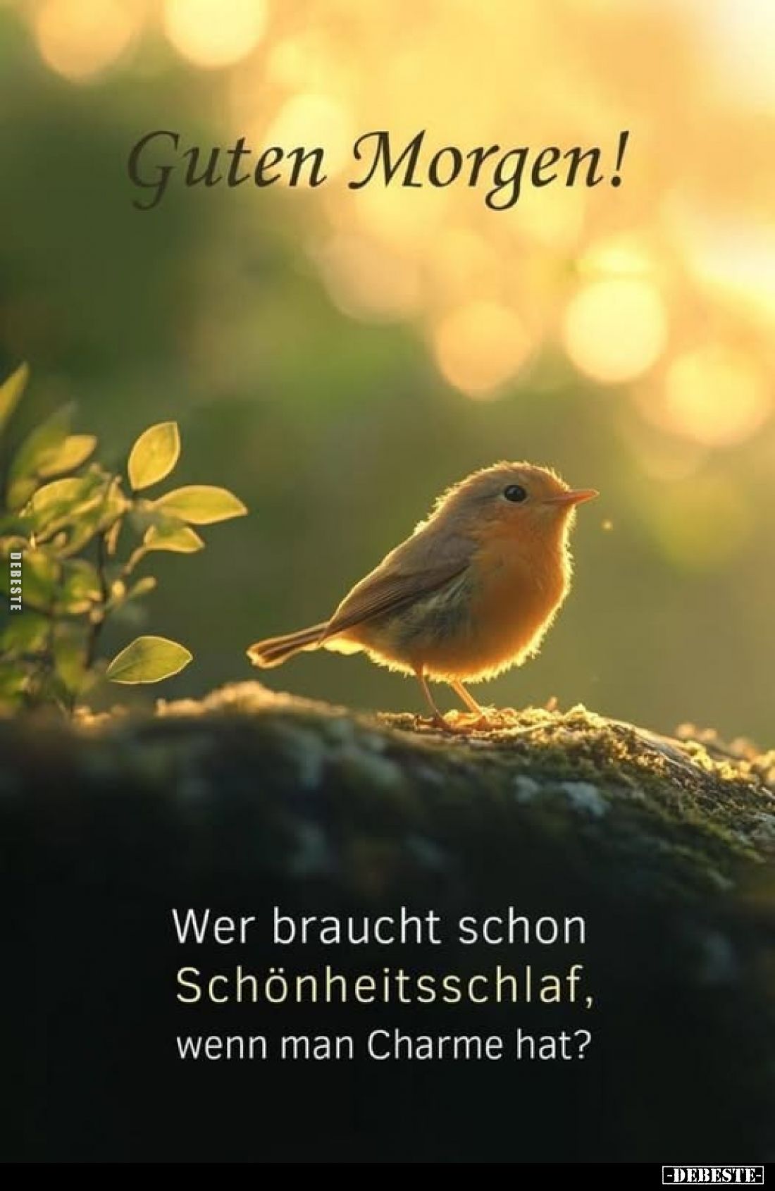 Guten Morgen! Wer braucht schon Schönheitsschlaf, wenn man Charme hat?