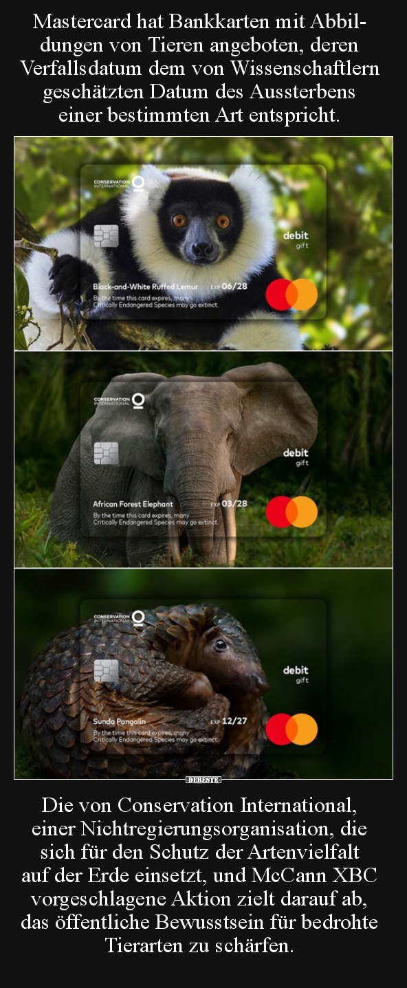 Mastercard hat Bankkarten mit Abbildungen von Tieren.. - Lustige Bilder | DEBESTE.de