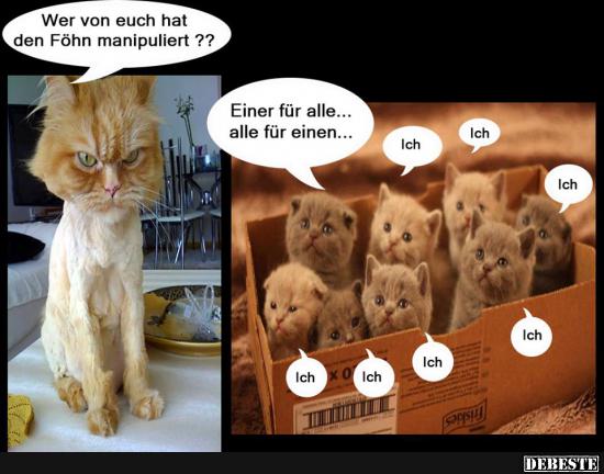 Wer von euch hat den Föhn manipuliert? - Lustige Bilder | DEBESTE.de