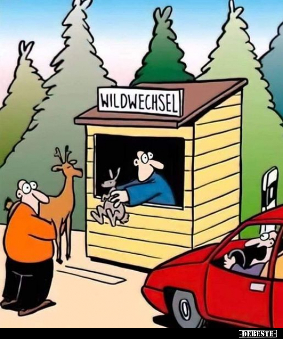 Wildwechsel...