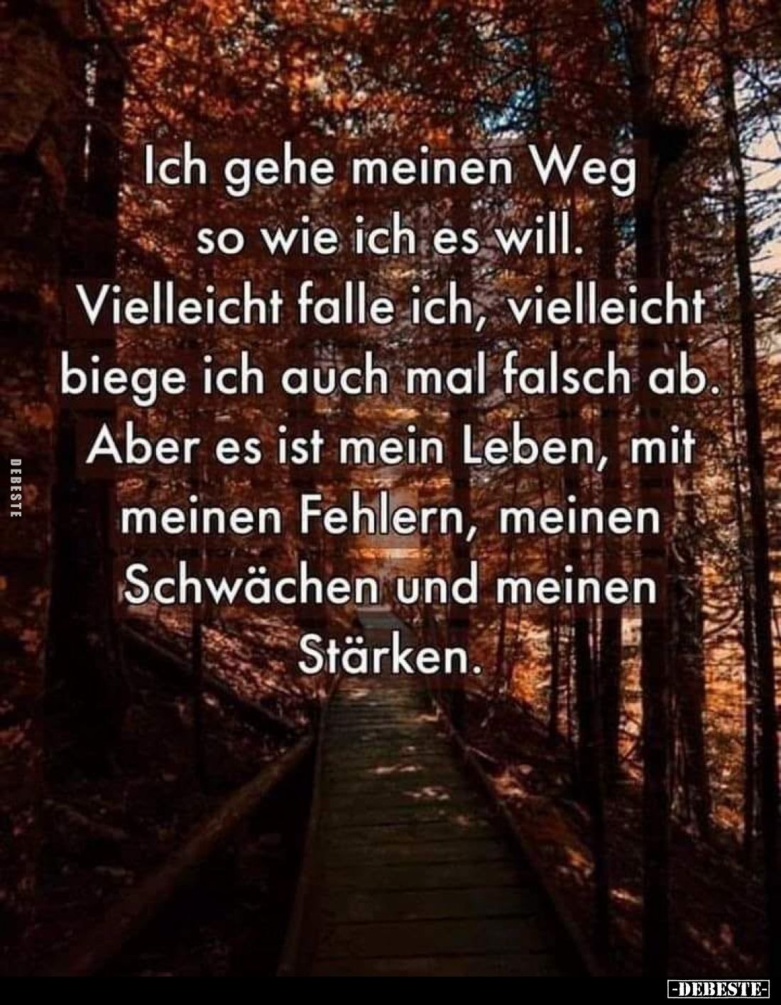 Ich gehe meinen Weg
so wie ich es will.
Vielleicht falle ich, vielleicht
biege ich auch mal falsch ab.
Aber es ist mein L...
