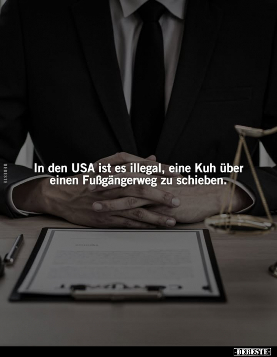 In den USA ist es illegal, eine Kuh über einen Fußgängerweg.. - Lustige Bilder | DEBESTE.de