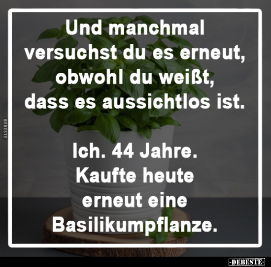 Und manchmal versuchst du es erneut, obwohl du weißt, dass.. - Lustige Bilder | DEBESTE.de