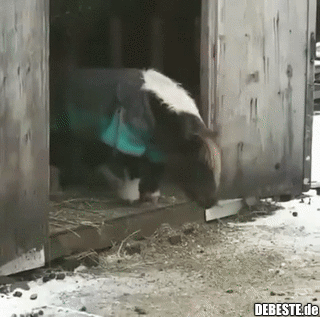 Furcht einflößend..