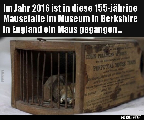 Im Jahr 2016 ist in diese 155-jährige Mausefalle im Museum.. - Lustige Bilder | DEBESTE.de