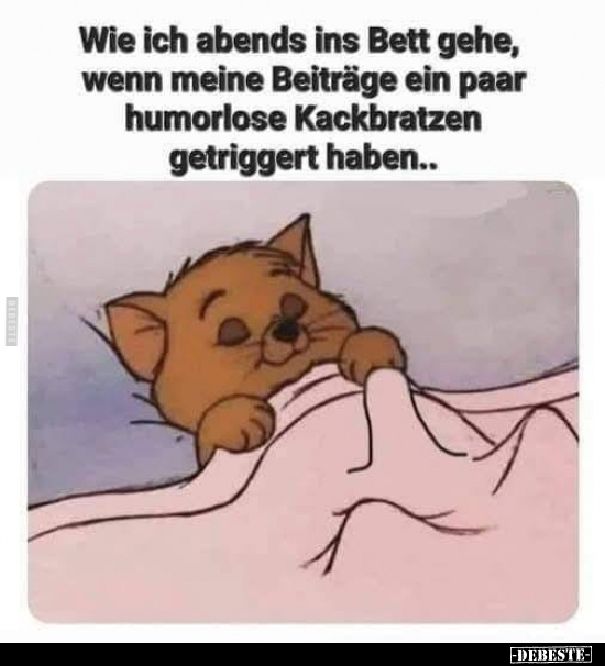 Wie ich abends ins Bett gehe.. - Lustige Bilder | DEBESTE.de