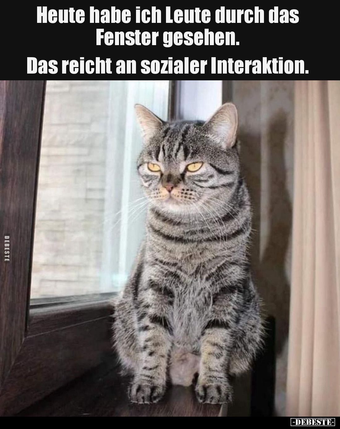 Heute habe ich Leute durch das Fenster gesehen. 
Das reicht an sozialer Interaktion.