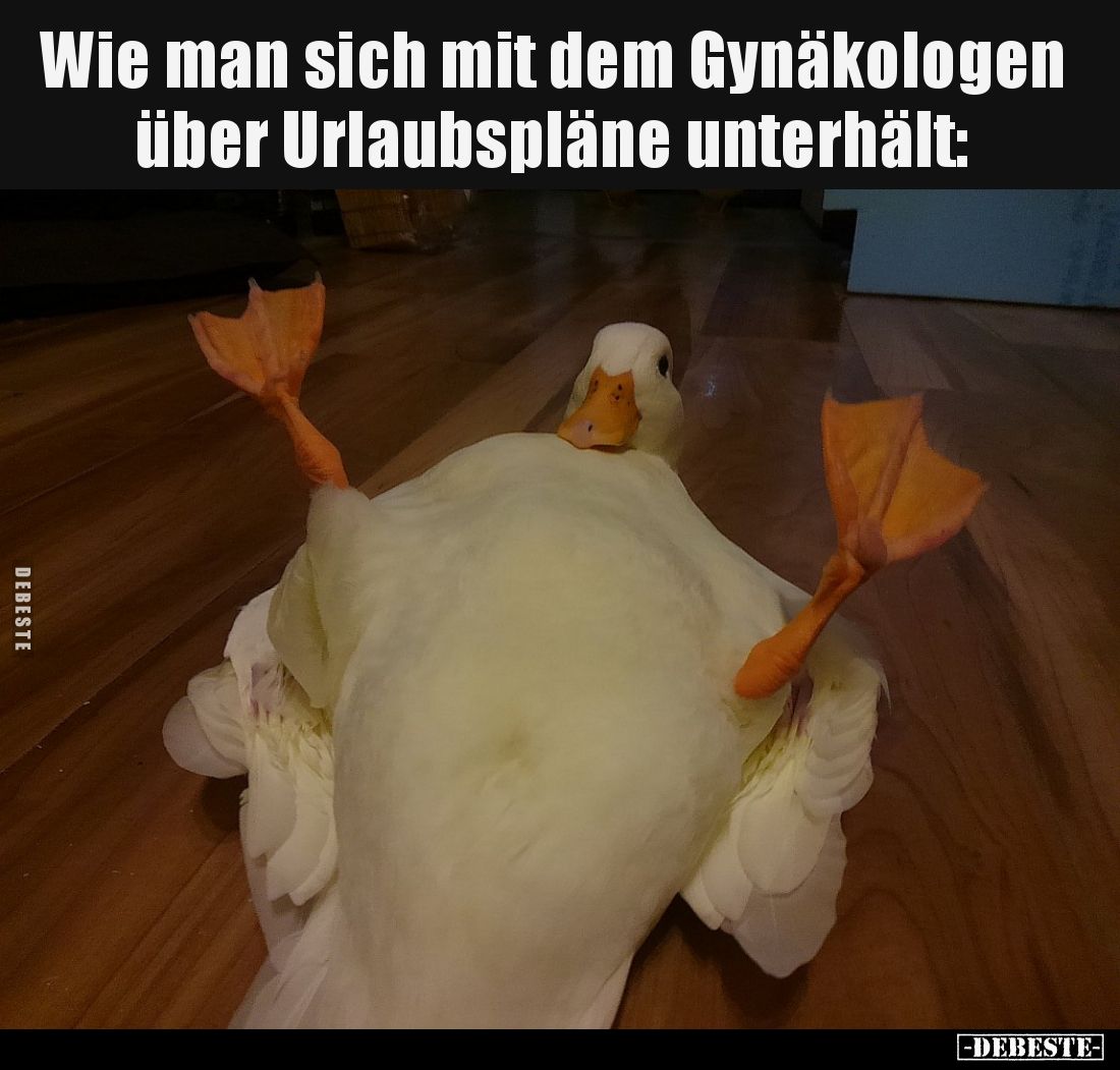 Wie man sich mit dem Gynäkologen über Urlaubspläne unterhält: