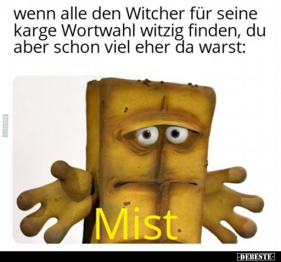 Wenn alle den Witcher für seine karge Wortwahl witzig.. - Lustige Bilder | DEBESTE.de