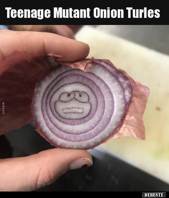 Teenage Mutant Onion Turles.. - Lustige Bilder | DEBESTE.de