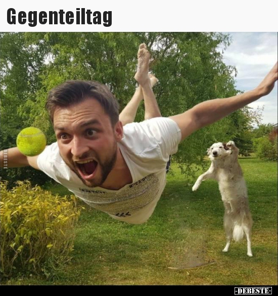 Gegenteiltag..