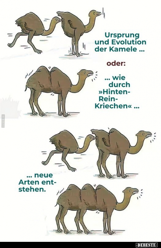 Ursprung und Evolution der Kamele.. - Lustige Bilder | DEBESTE.de