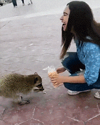 Ich nehm die ganze Tüte..