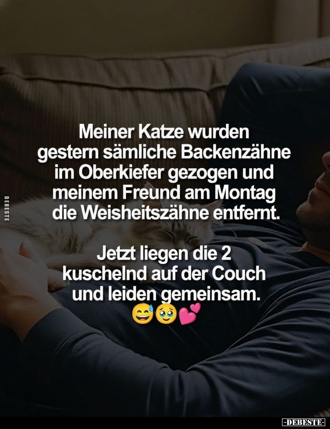 Meiner Katze wurden gestern sämliche Backenzähne im Oberkiefer gezogen und meinem Freund am Montag die Weisheitszähne entfern...