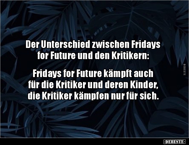 Der Unterschied zwischen Fridays for Future und den.. - Lustige Bilder | DEBESTE.de