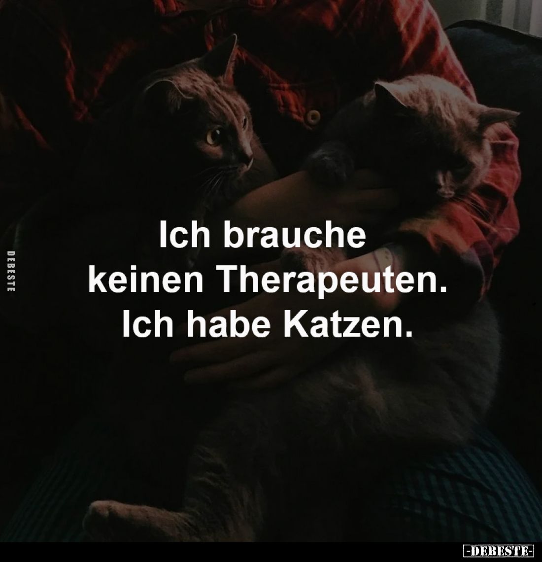 Ich brauche 
keinen Therapeuten.
Ich habe Katzen.