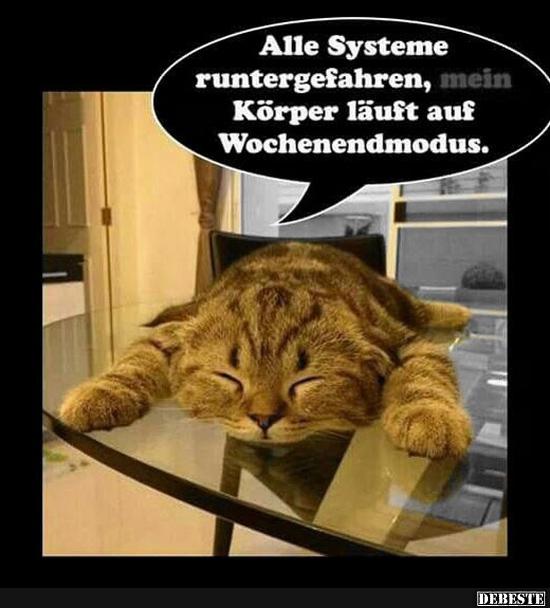 Alle Systeme  runtergefahren, mein  Körper läuft..