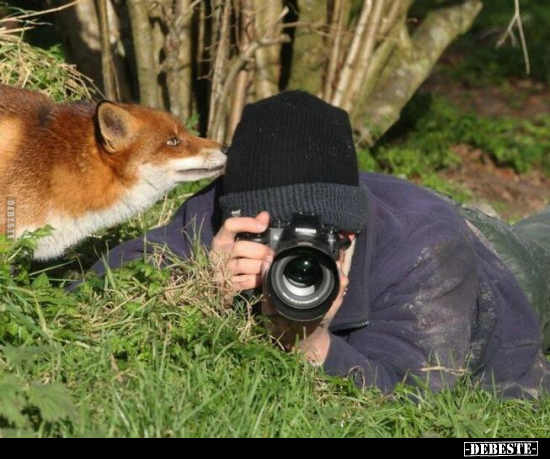  - Lustige Bilder | DEBESTE.de