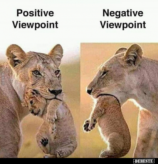  - Lustige Bilder | DEBESTE.de