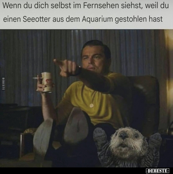 Wenn du dich selbst im Fernsehen siehst, weil du einen.. - Lustige Bilder | DEBESTE.de