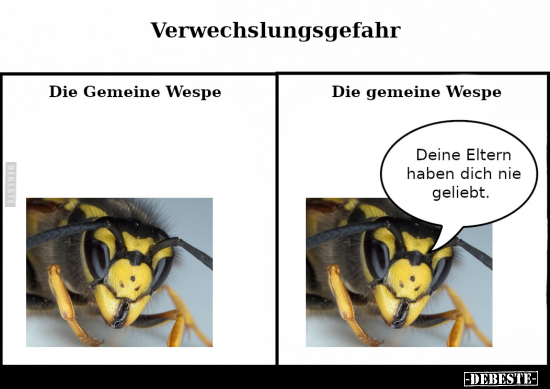 Verwechslungsgefahr: Die Gemeine Wespe.. - Lustige Bilder | DEBESTE.de