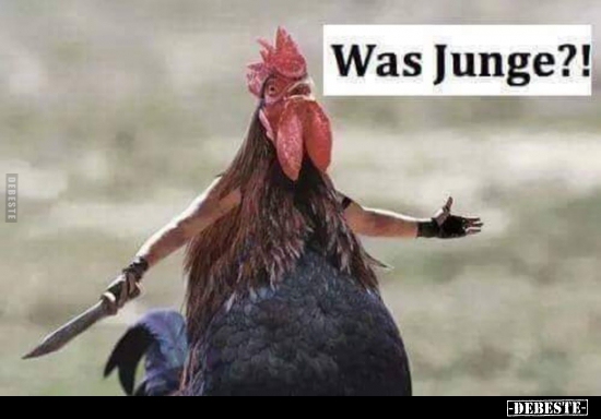 Was Junge?!