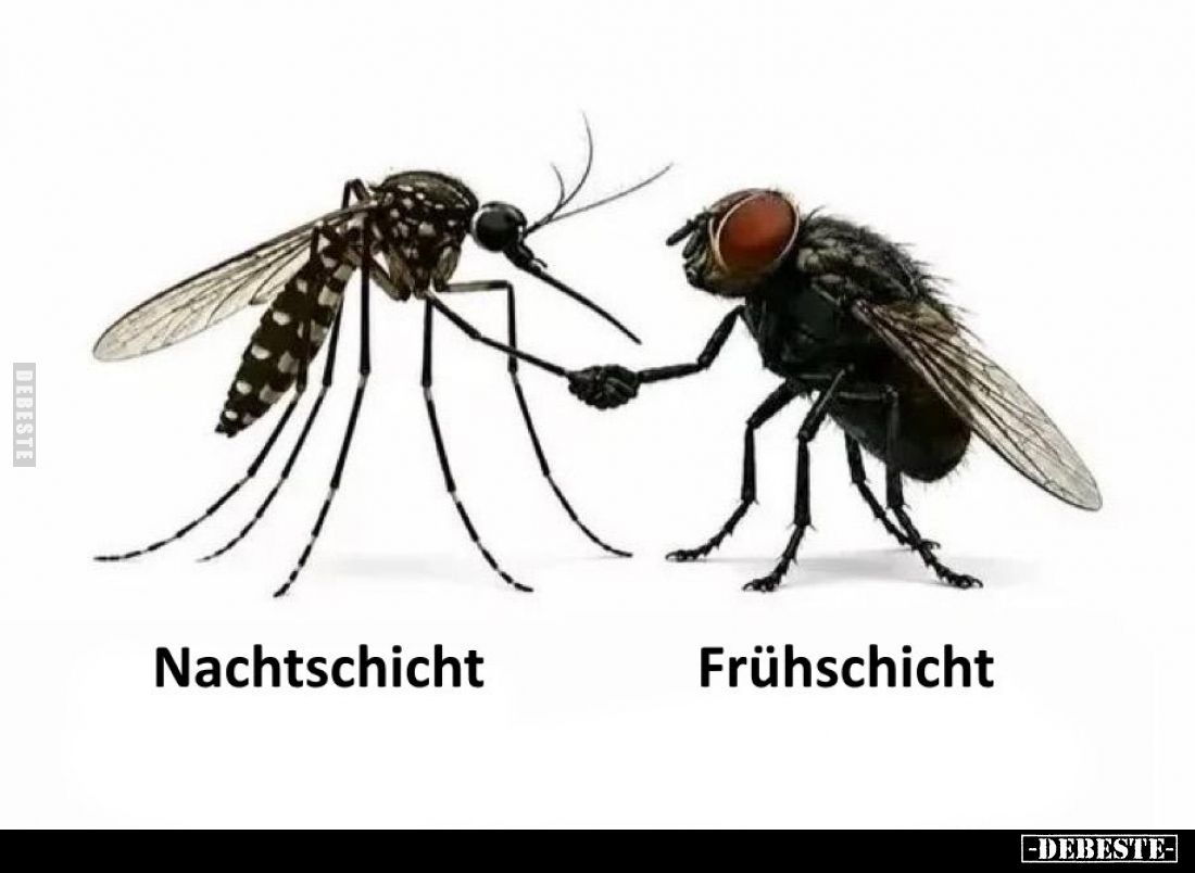Nachtschicht - Frühschicht