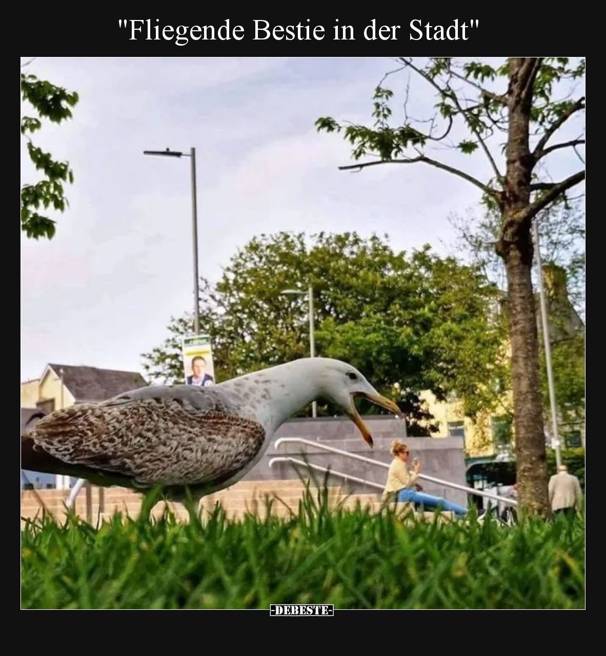 "Fliegende Bestie in der Stadt"