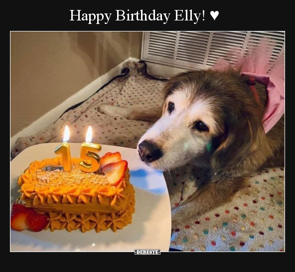 Happy Birthday Elly! ♥.. - Lustige Bilder | DEBESTE.de