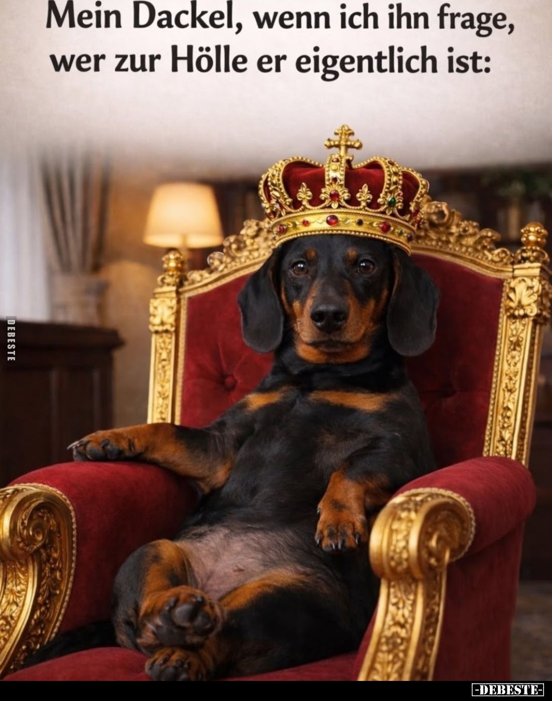 Mein Dackel, wenn ich ihn frage, wer zur Hölle er eigentlich ist: