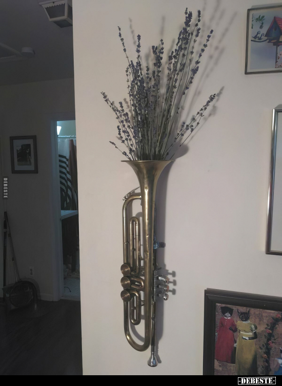  - Lustige Bilder | DEBESTE.de