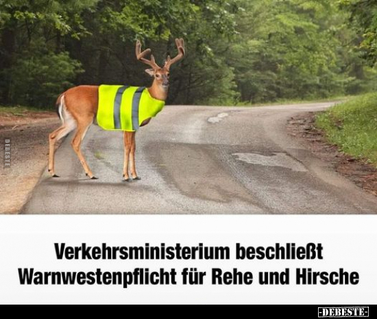Verkehrsministerium beschließt Warnwestenpflicht.. - Lustige Bilder | DEBESTE.de